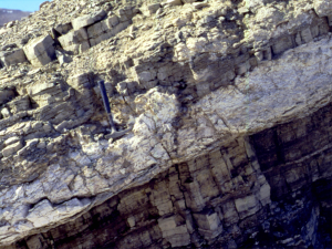 Thick gypsum bed in the 1.2 Ga Angmaat Formation, northern Baffin Island