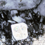 Petrographic image showing silicified halite within gypsum, indicating that gypsum was more highly saturated in the oceans than halite by the late Mesoproterozoic