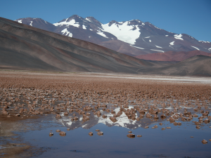 Mineralized microbialites within Laguna Negra, Catamarca Province, Argentina