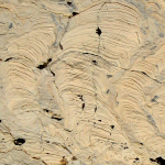Enigmatic "sinusoidal" stromatolites from the Belt Supergroup, Montana
