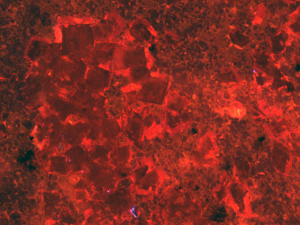 Cathodoluminescence image showing relict halite cubed within Atar Group evaporite facies