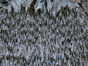 Petrographic image (in cross-polarized light) of herringbone carbonate.