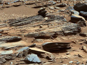 Cross-bedded, coarse-grained fluvial units of the Shaler outcrop.