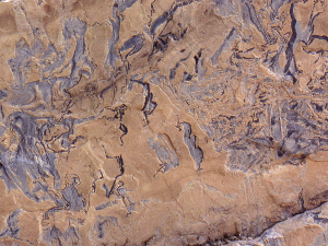 Molar-tooth structure from the Mesoproterozoic Belt Supergroup, Montana