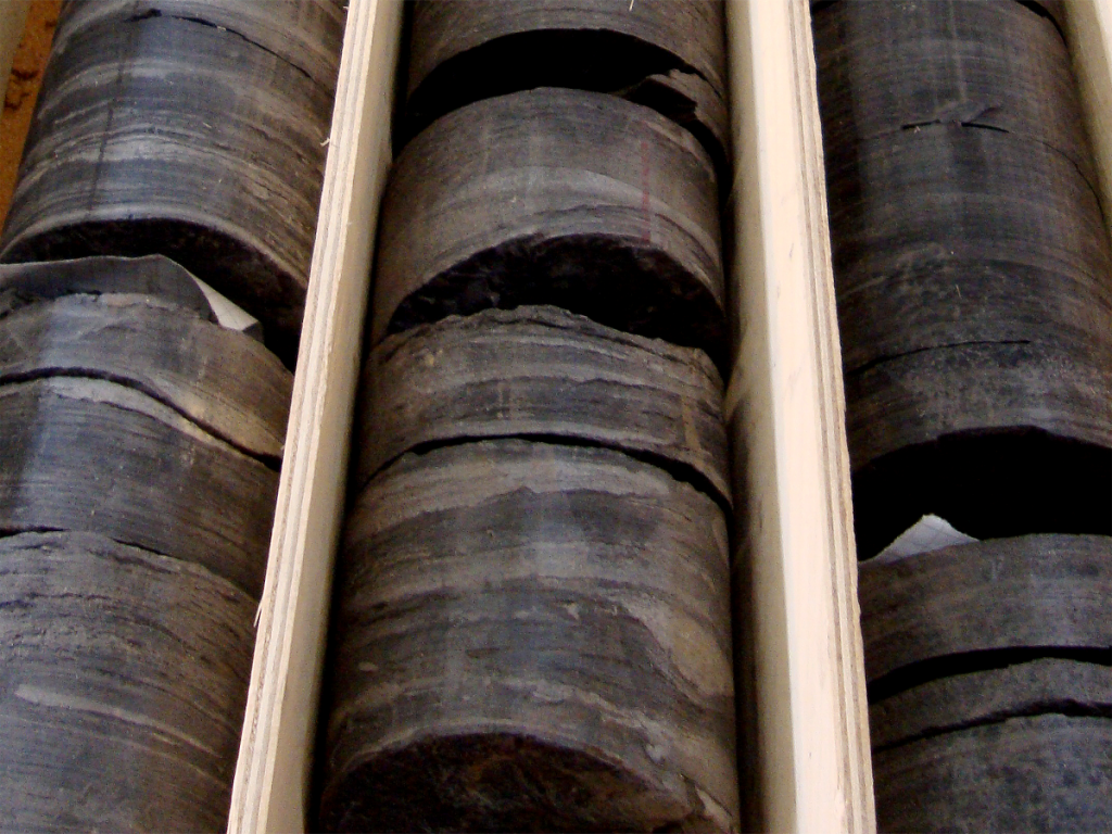 Black shale of the late Mesoproterozoic Touirist Formation, West Africa.