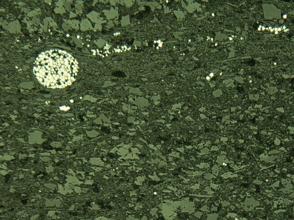 Disseminated and framboidal pyrite observed in reflected light.