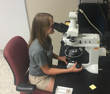 Student works at a microscope